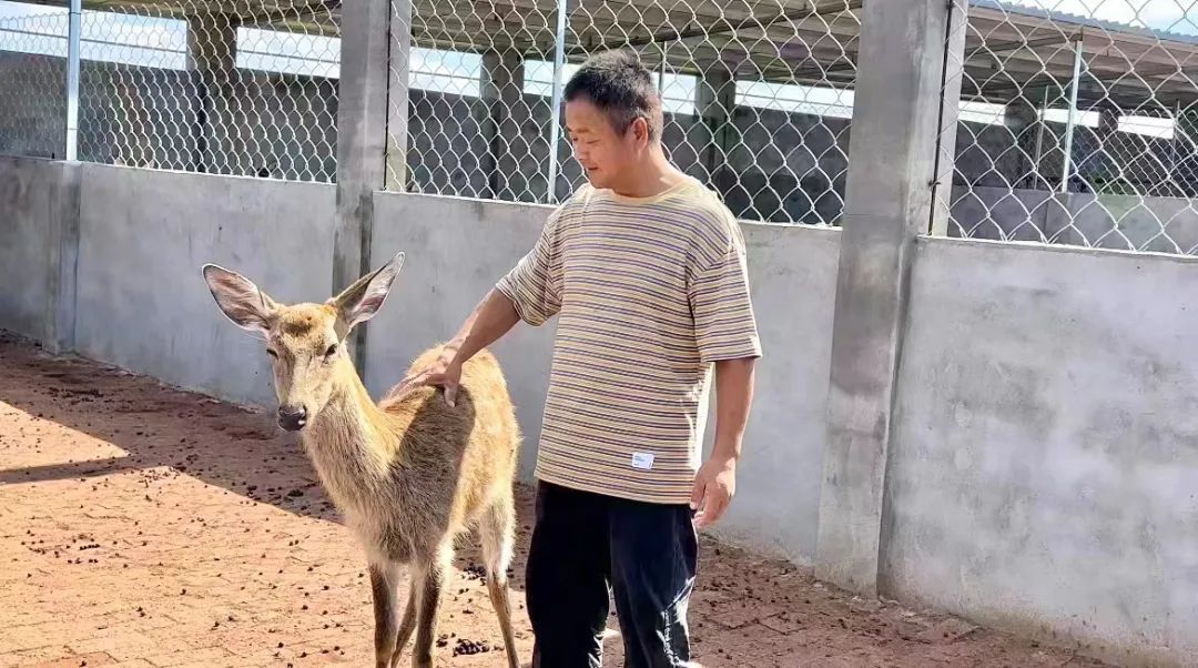 沙巴app官方